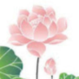 Meet your Posher, Lotus